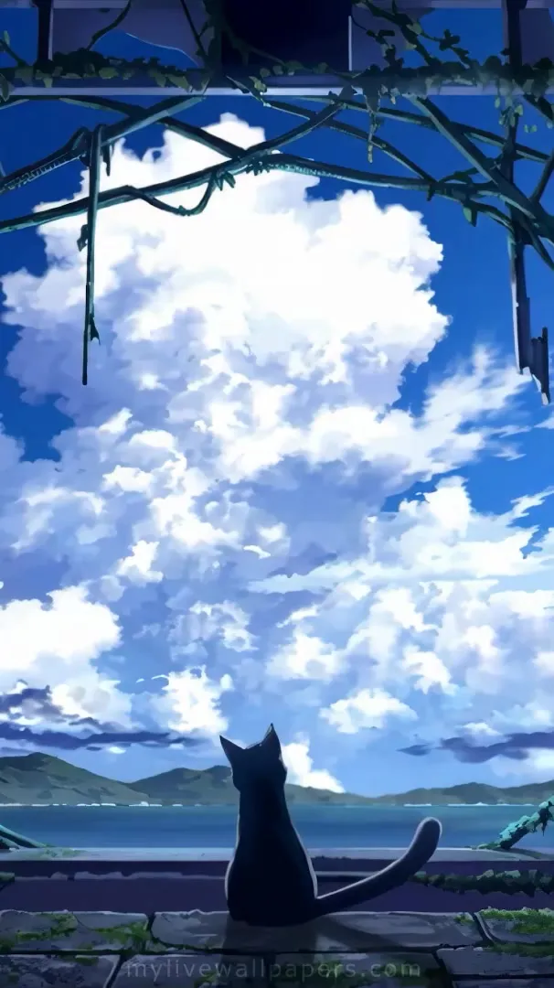 Gato negro mirando al cielo azul