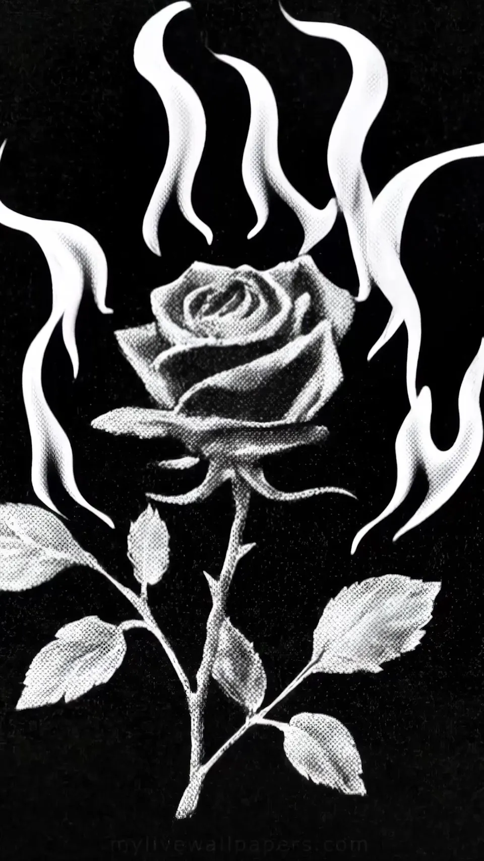 Rosa de Fuego