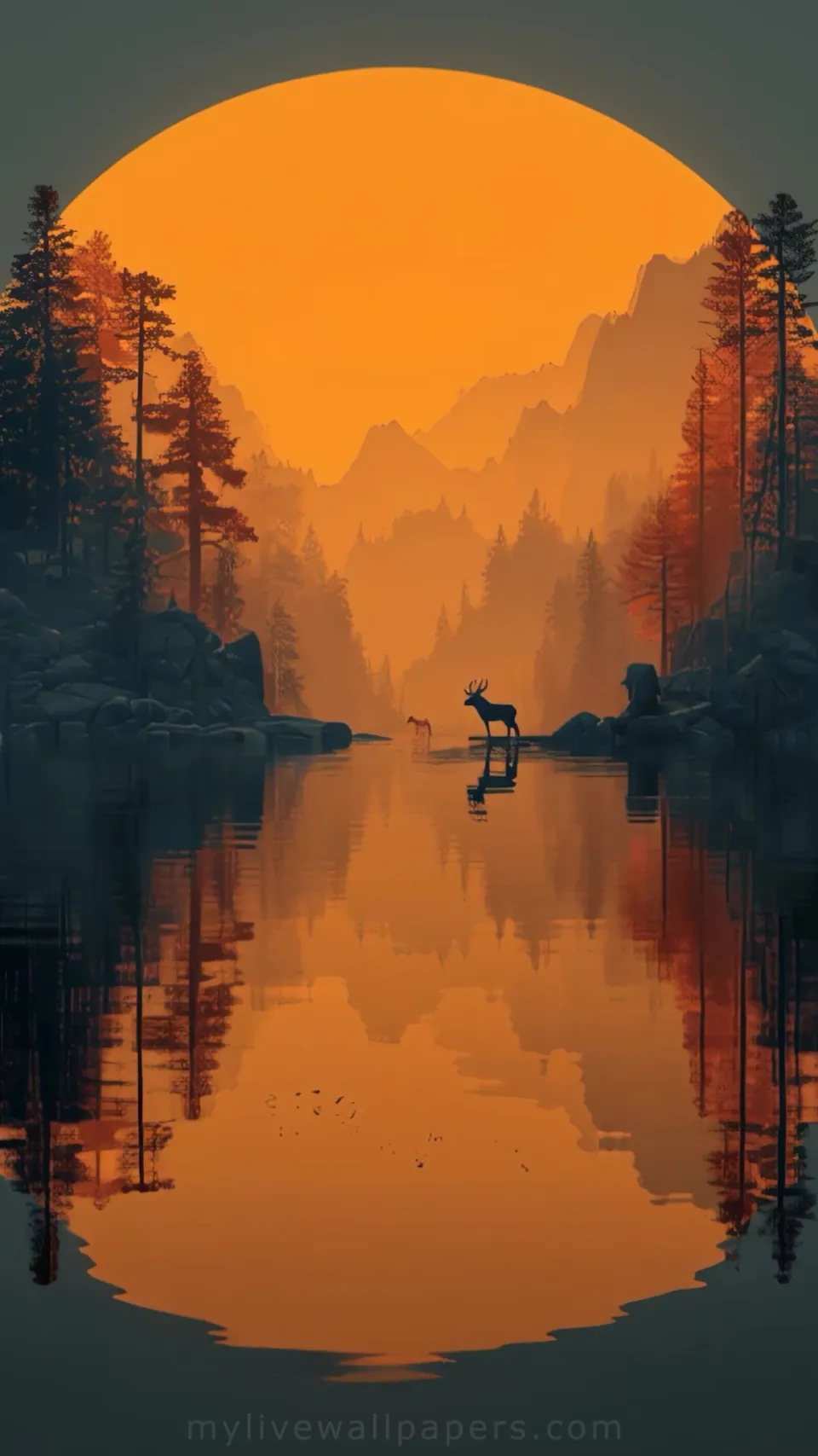 Amanecer en el Bosque Nebuloso