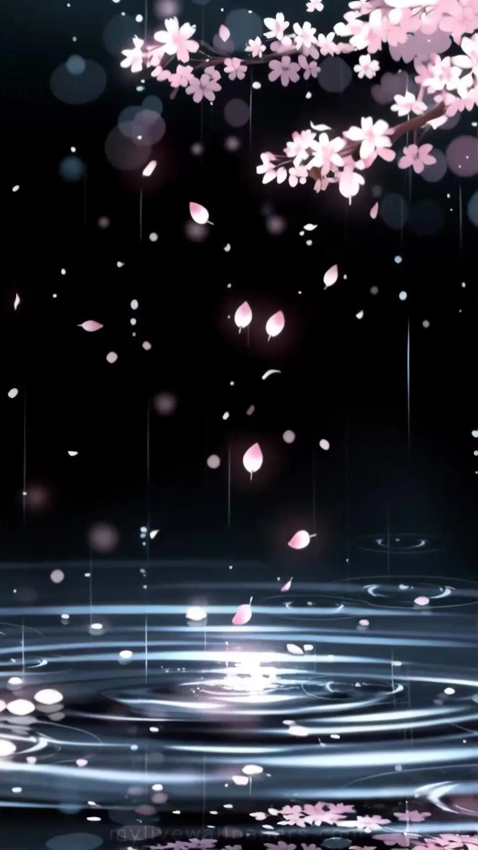 Pétalos de Sakura y Ondas en el Agua
