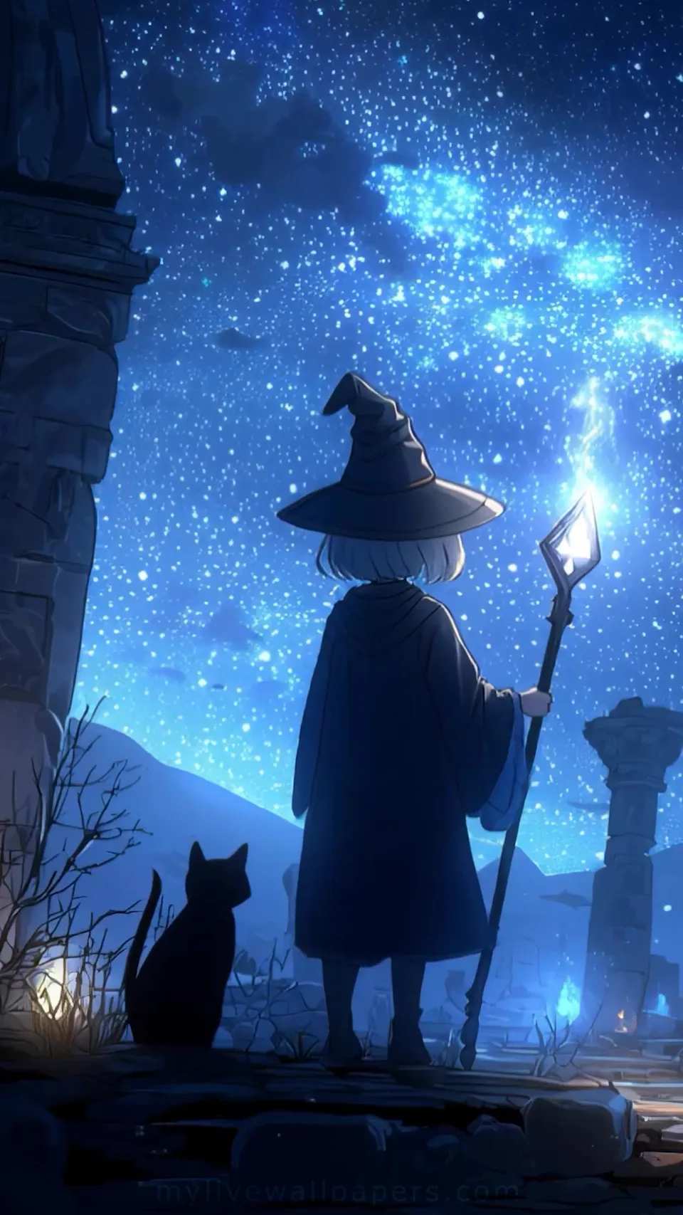 Witch's Starry Night